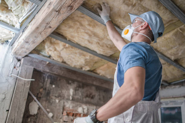 Best Insulation Installation Services in Baden, MD