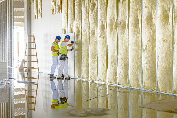 Best Types of Insulation in Baden, MD